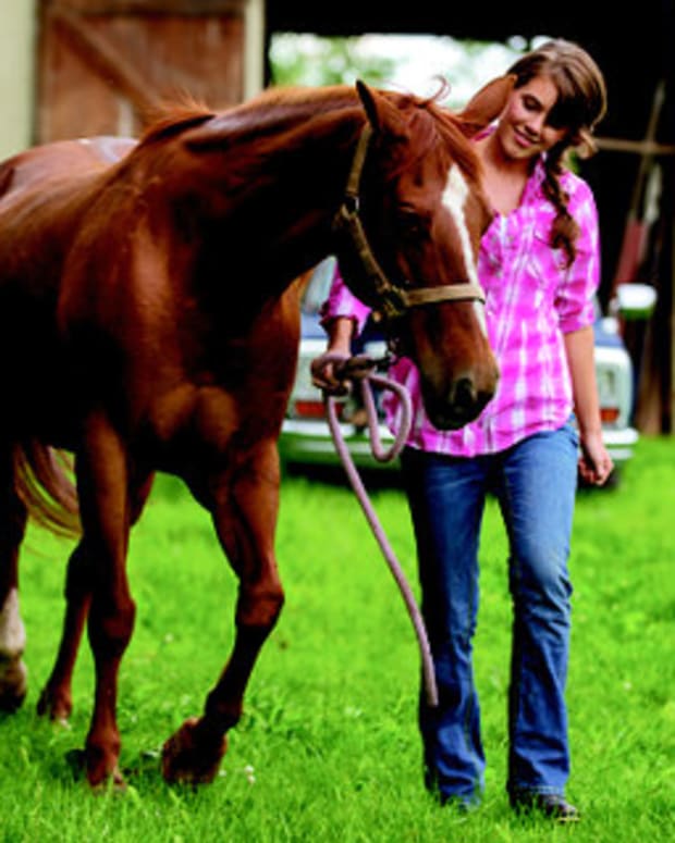 Tractor Supply A Home For Every Horse