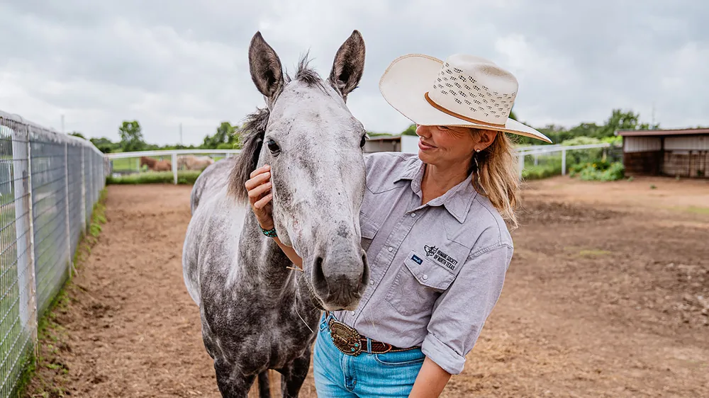 Old Souls, New Beginnings: Why Senior Horse Adoption Matters