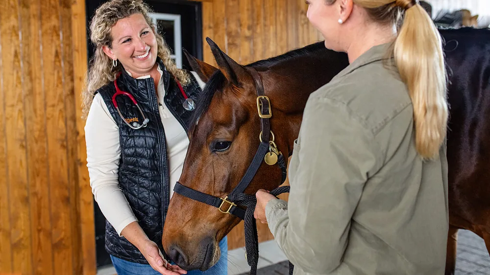 Equine Sedation: A Comprehensive Guide for Horse Owners