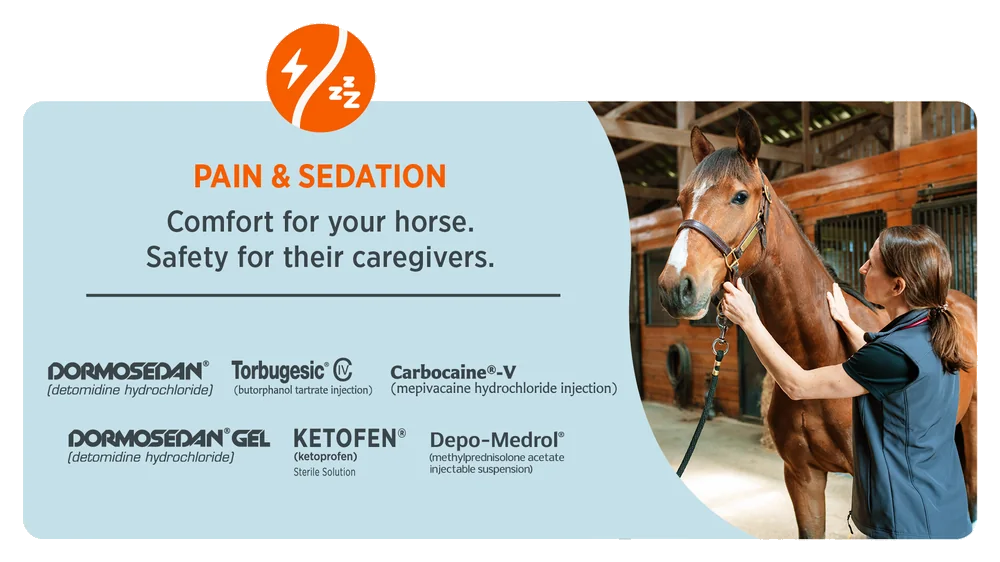 Zoetis pain and sedation products