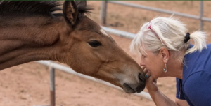 woman kissing brown foal