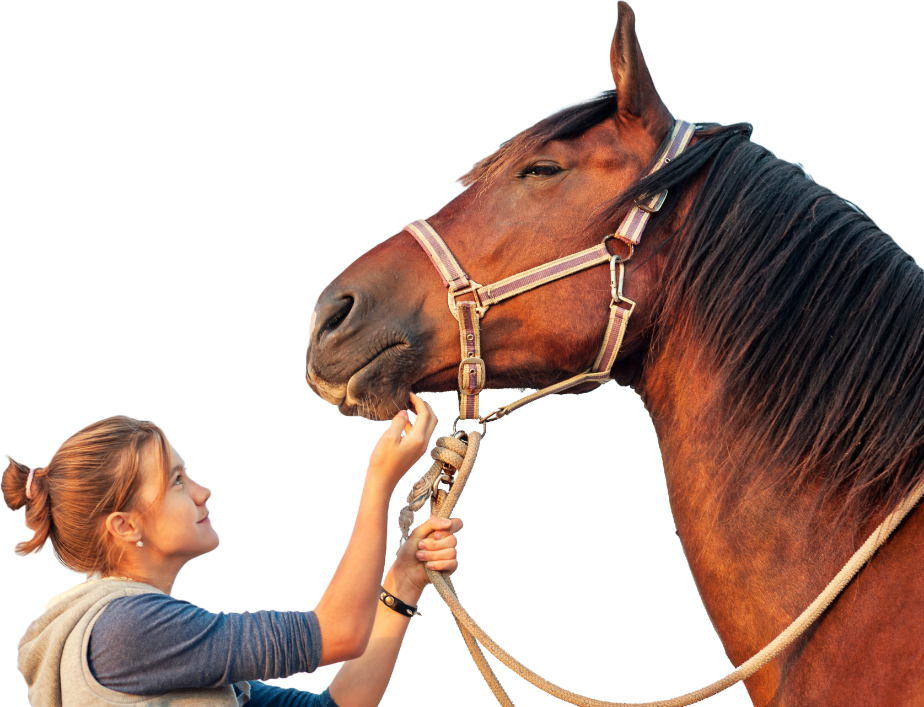 horse-training-girl