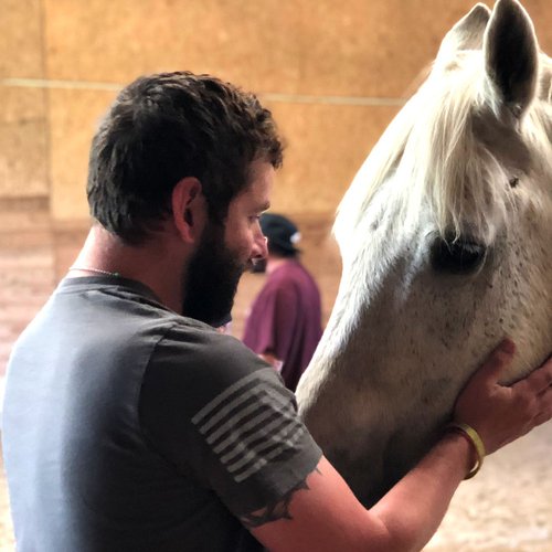 Veteran petting a grey horse