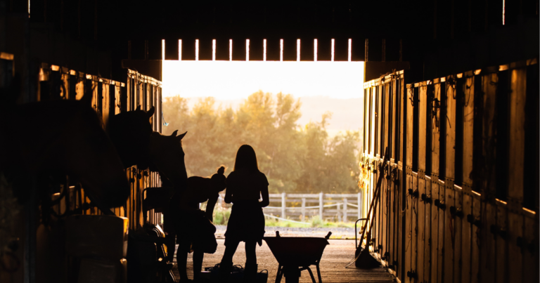 Feeding Horse (1)