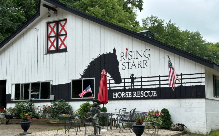 Rising Starr