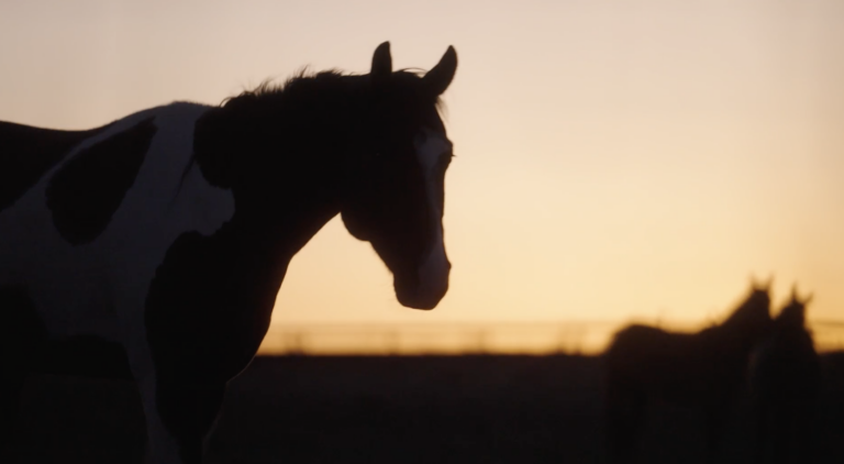 Screenshot 2024-12-16 at 2.39