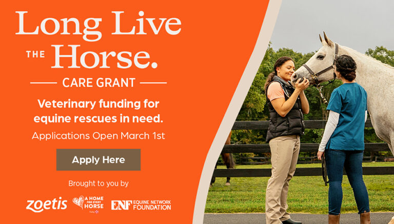 Long Live the Horse Care Grant