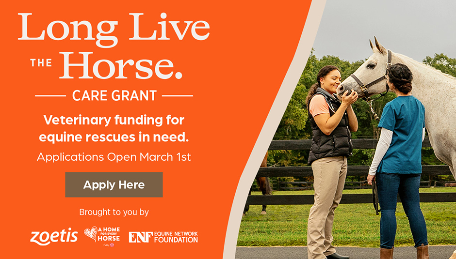 Long Live the Horse Care Grant