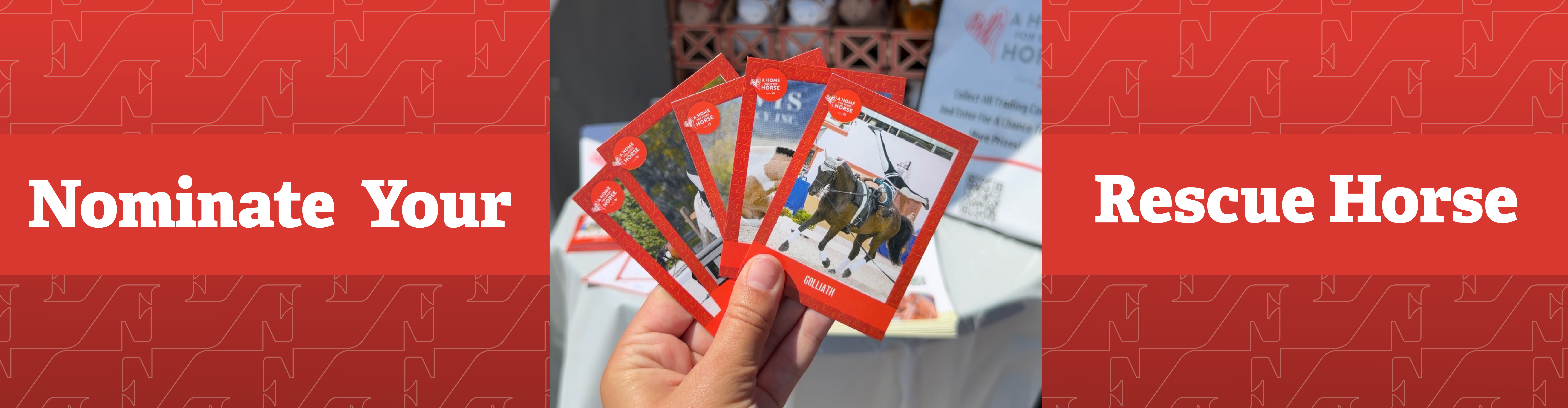 Nominate your rescue horse to be featured
